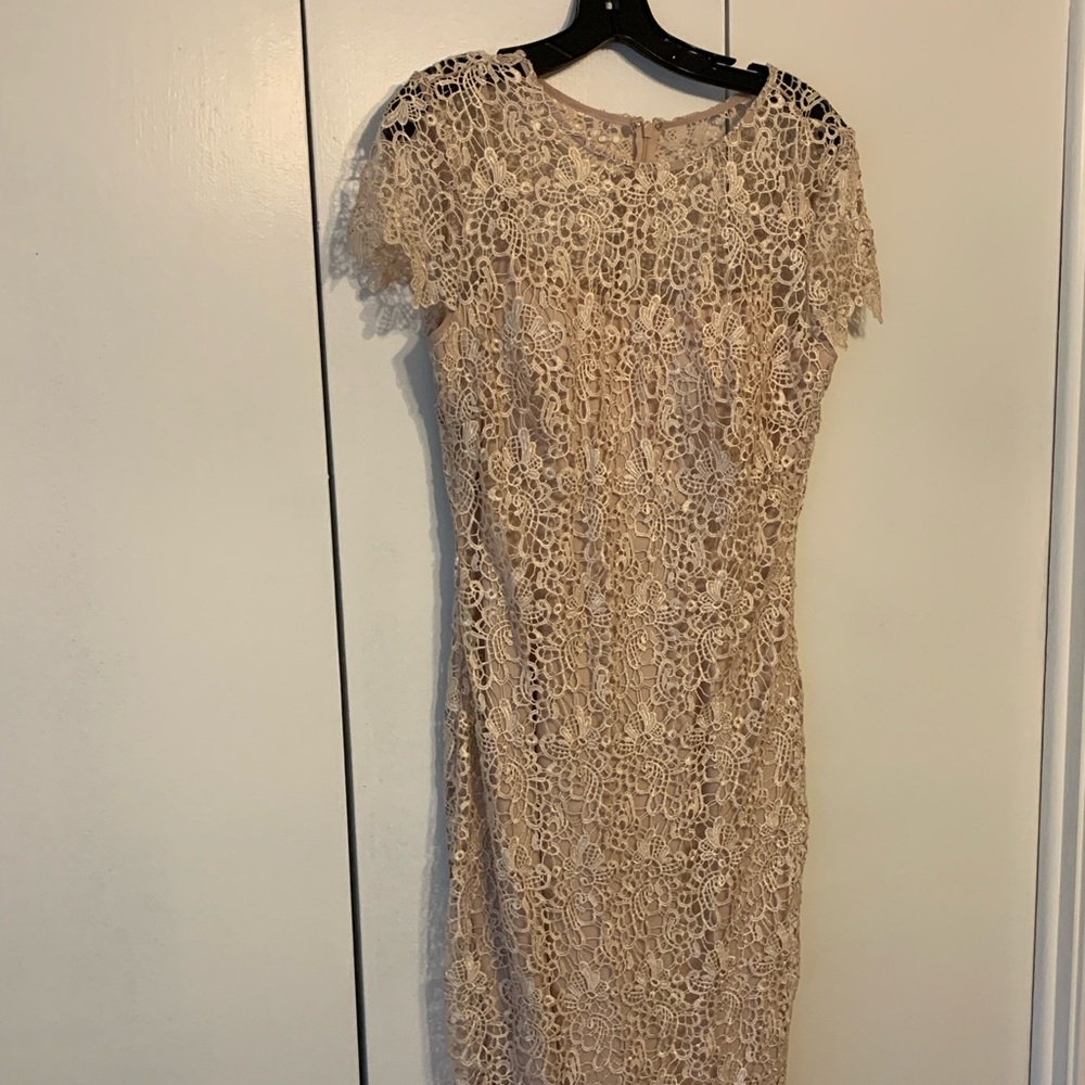 Champagne lace knee length dress.
